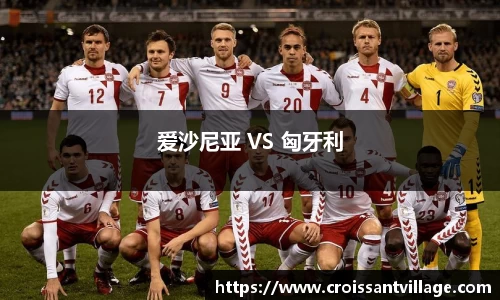 爱沙尼亚 VS 匈牙利
