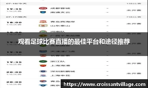 观看足球比赛直播的最佳平台和途径推荐