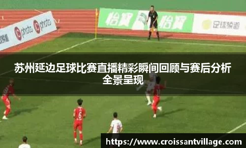 苏州延边足球比赛直播精彩瞬间回顾与赛后分析全景呈现