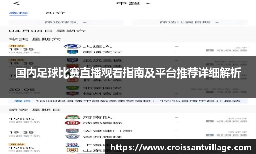 国内足球比赛直播观看指南及平台推荐详细解析