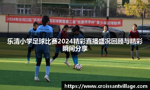 乐清小学足球比赛2024精彩直播盛况回顾与精彩瞬间分享