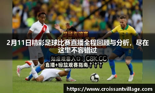 2月11日精彩足球比赛直播全程回顾与分析，尽在这里不容错过