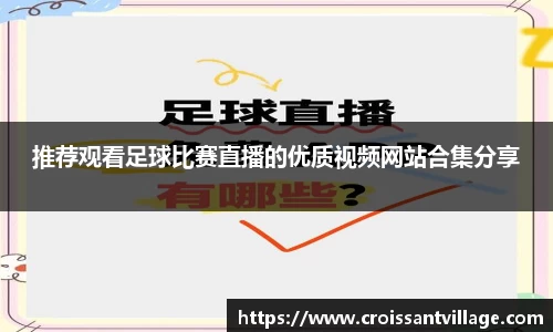 推荐观看足球比赛直播的优质视频网站合集分享