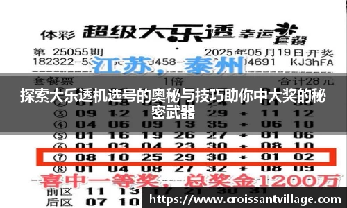 探索大乐透机选号的奥秘与技巧助你中大奖的秘密武器