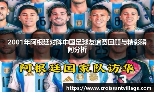 2001年阿根廷对阵中国足球友谊赛回顾与精彩瞬间分析